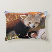 怠け者のレッサーパンダ アクセントクッション (正面)