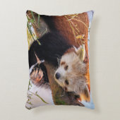 怠け者のレッサーパンダ アクセントクッション (正面(垂直))