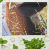 怠け者のレッサーパンダ キッチンタオル (折り畳み)