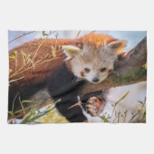 怠け者のレッサーパンダ キッチンタオル (横)