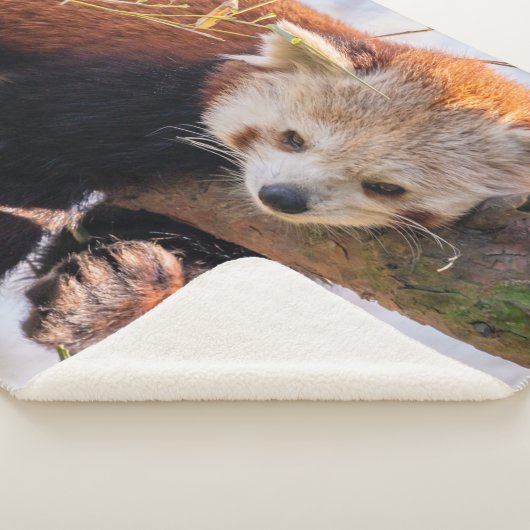 怠け者のレッサーパンダ シェルパブランケット (3/4)