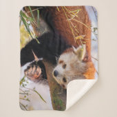 怠け者のレッサーパンダ シェルパブランケット (正面)