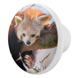 怠け者のレッサーパンダ セラミックノブ