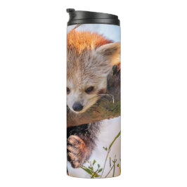 怠け者のレッサーパンダ タンブラー