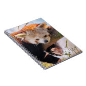 怠け者のレッサーパンダ ノートブック (右側)