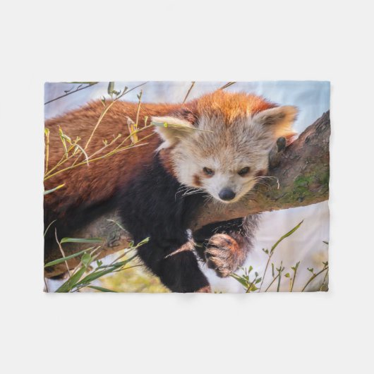 怠け者のレッサーパンダ フリースブランケット (正面(横))