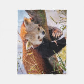 怠け者のレッサーパンダ フリースブランケット (正面)