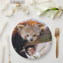 怠け者のレッサーパンダ ペーパープレート