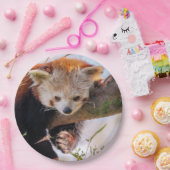 怠け者のレッサーパンダ ペーパープレート (パーティー)