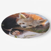 怠け者のレッサーパンダ ペーパープレート (アングル)