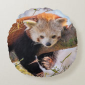 怠け者のレッサーパンダ ラウンドクッション (正面)