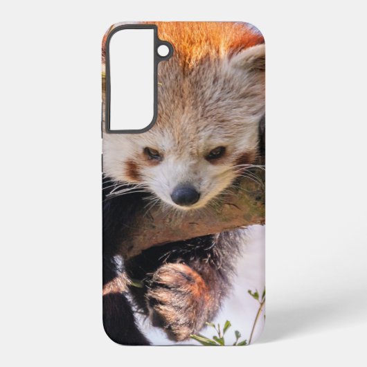 怠け者のレッサーパンダ SAMSUNG GALAXYケース (裏面)