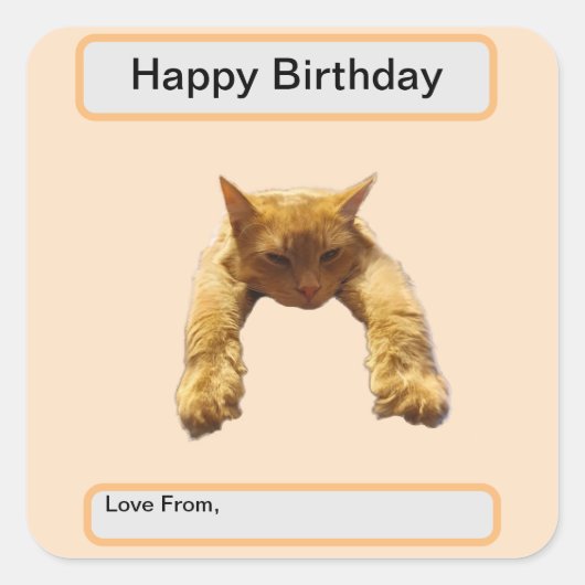 怠け者Cant面倒なジンジャーキャット、誕生日 スクエアシール (正面)