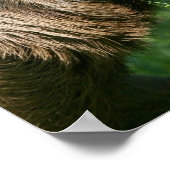 怠惰なスロスポスター ポスター (角)