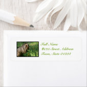 怠惰なスロープラベル ラベル (インサイチュ)