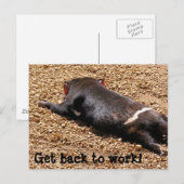 怠惰なタッシー・デビル ポストカード (正面/裏面)