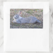 怠惰なバニーステッカー 長方形シール (バッグ)