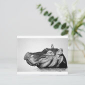 怠惰なヒッポ ポストカード (スタンド正面)