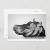 怠惰なヒッポ ポストカード (正面/裏面)