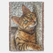 怠惰なベンガル猫 スローブランケット (正面縦)