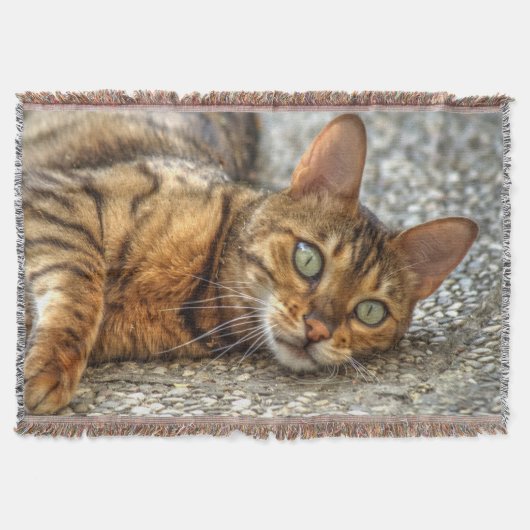 怠惰なベンガル猫 スローブランケット (正面)