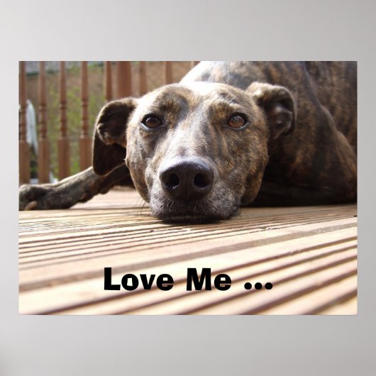 怠惰なラッカーのポスター ポスター (正面)