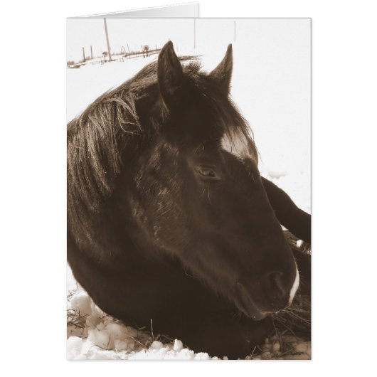 怠惰な冬の日 (正面)