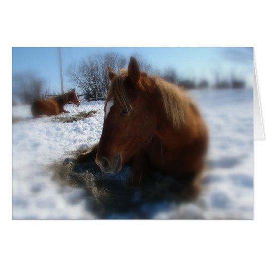 怠惰な冬の日 (正面横)