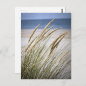 怠惰な日のビーチ ポストカード (正面/裏面)