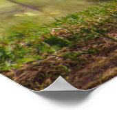 怠惰な日 ポスター (角)