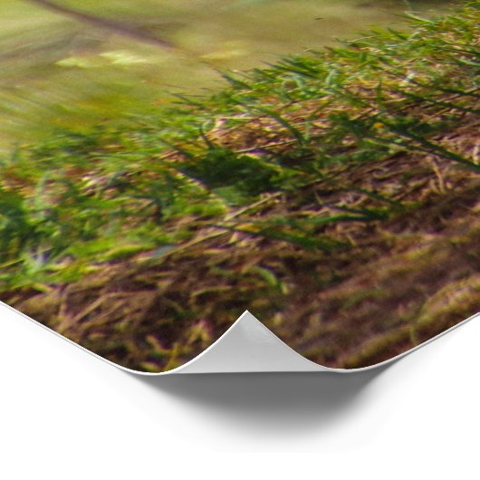 怠惰な日 ポスター (角)