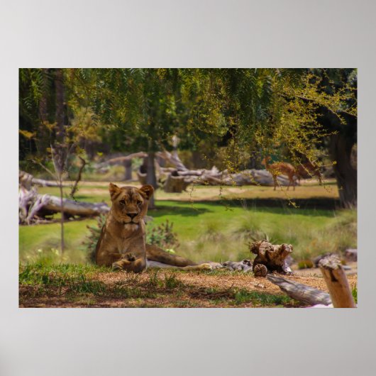 怠惰な日 ポスター (正面)