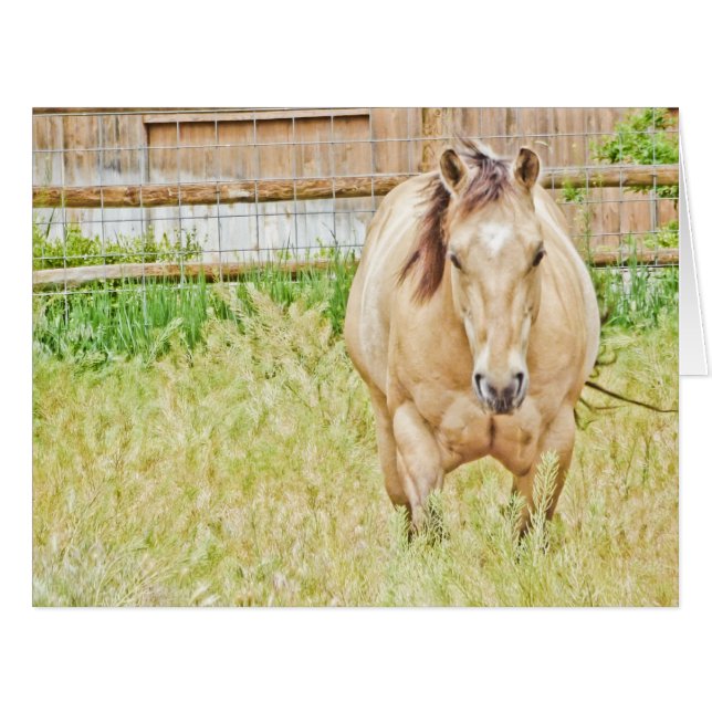 怠惰な朝 (正面横)