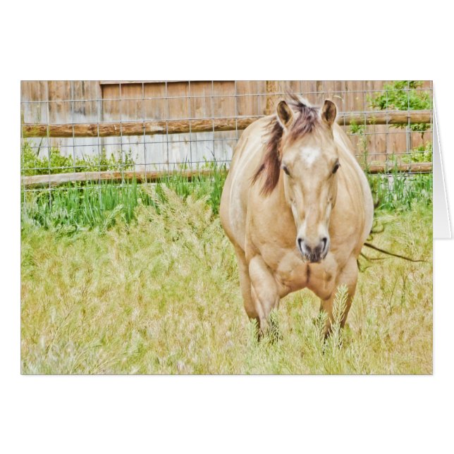 怠惰な朝 (正面横)