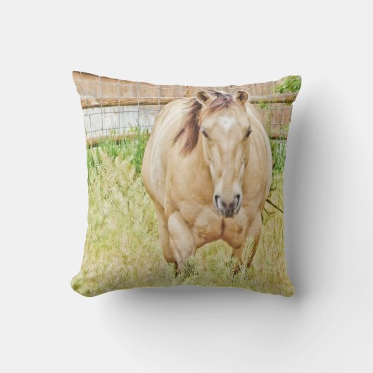 怠惰な朝 クッション (正面)