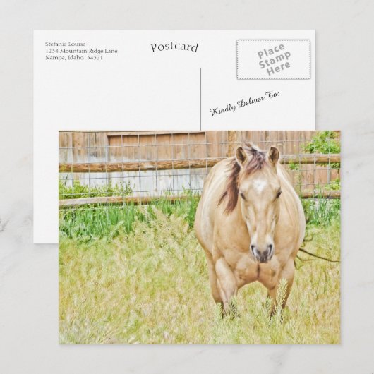 怠惰な朝 ポストカード (正面/裏面)