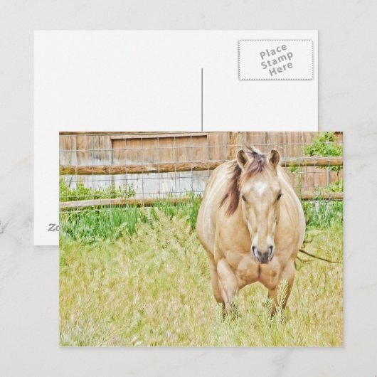 怠惰な朝 ポストカード (正面/裏面)