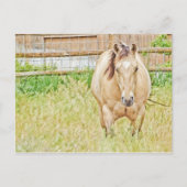 怠惰な朝 ポストカード (正面)