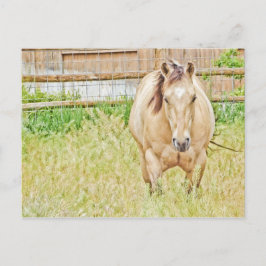 怠惰な朝 ポストカード