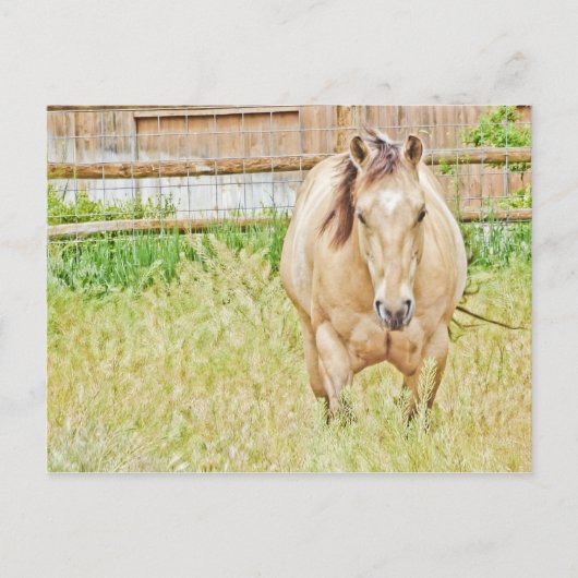 怠惰な朝 ポストカード (正面)