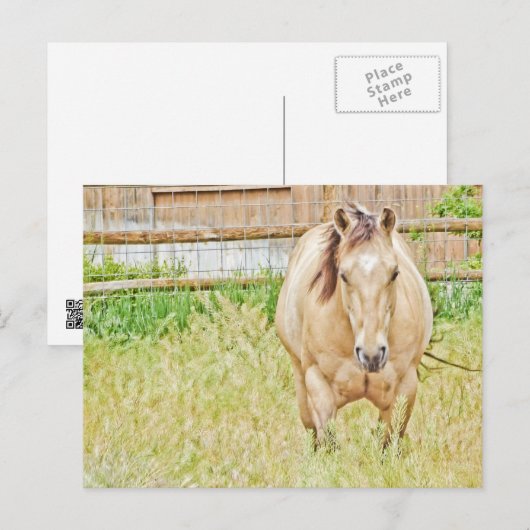 怠惰な朝 ポストカード (正面/裏面)