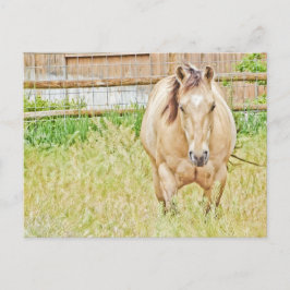 怠惰な朝 ポストカード