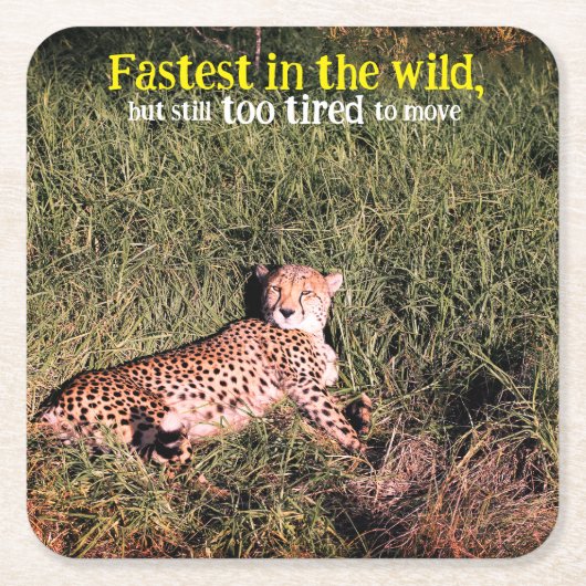 怠惰な生意気な写真 スクエアペーパーコースター (正面)