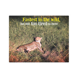 怠惰な生意気な写真 メタルプリント