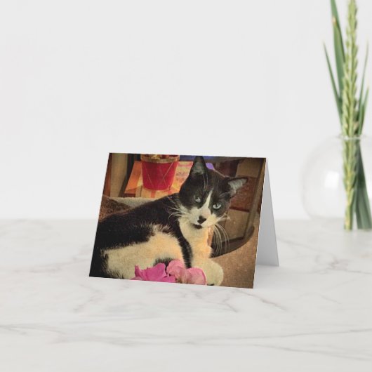 怠惰に見る(ノート空白のカード) カード (正面)