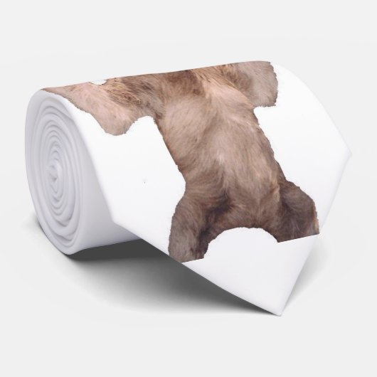 怠惰のタイ ネクタイ (ロール)