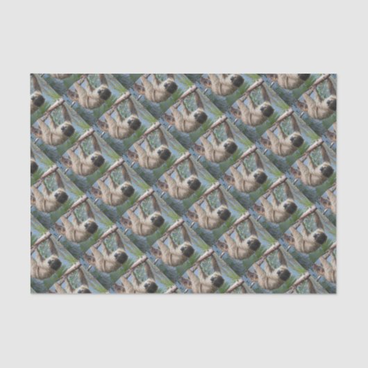 怠惰の写真 薄葉紙 (正面)