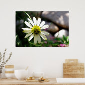 怠惰デイジーサマーデイプリント ポスター (キッチン)