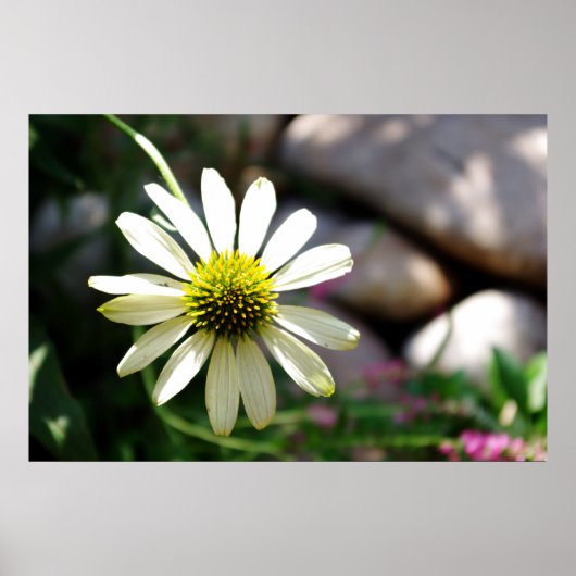 怠惰デイジーサマーデイプリント ポスター (正面)