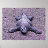 怠惰ドラゴン ポスター (正面)